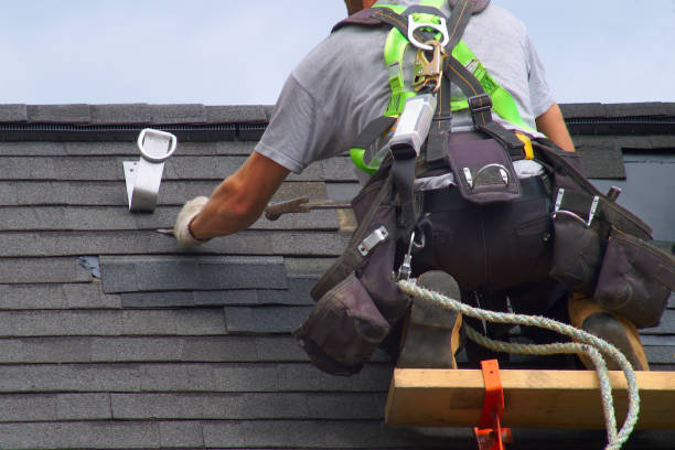 Best Roof Gutter Cleaning  in Key Biscayne, FL